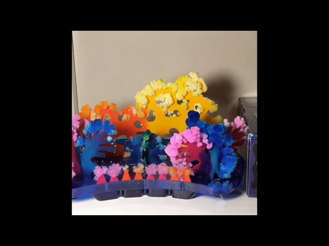 Magic Crystal Coral Reef Timelapse