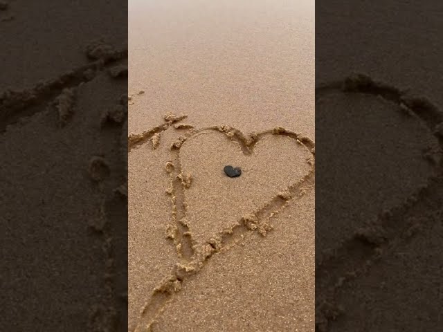 Love Heart at the Beach with ❤️ Rock | Happy Day #shorts #youtubeshorts #love #heart #superideaslab